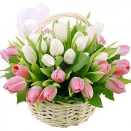 K010  FLOWER BASKET WITH MIXED TULIPS