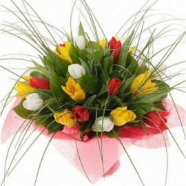 A055 MIX TULIPS