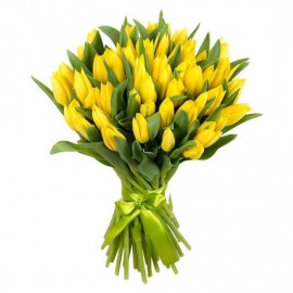 A058 YELLOW TULIPS