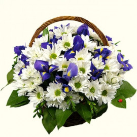 K020 FLOWERS BASKET WITH CHRYSANTHEMUMS AND IRISES