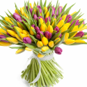 A125 MIX TULIPS